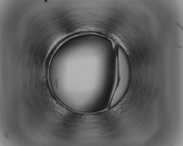 X0000090971116200708301219