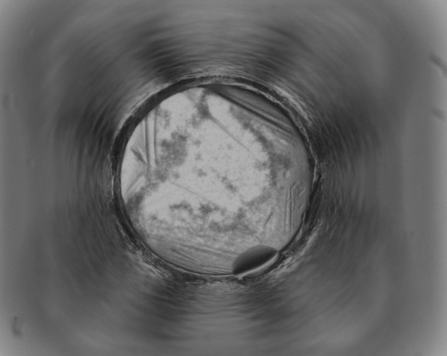 X0000090971117200708301219