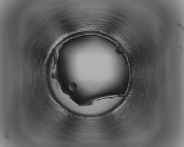 X0000090971118200708301219