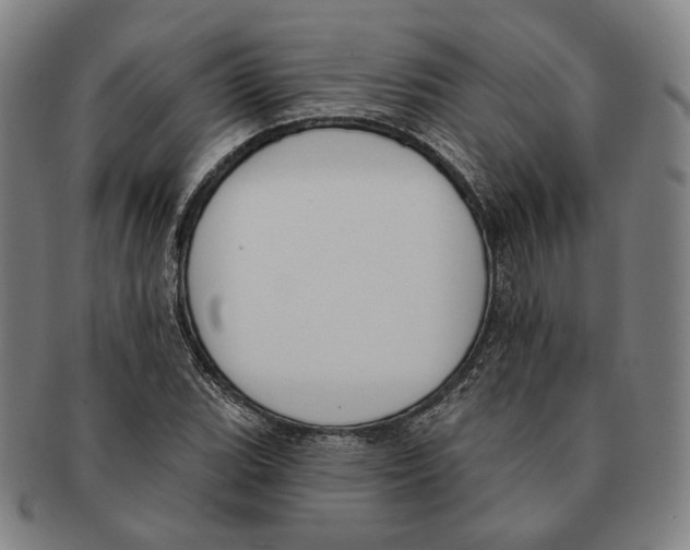 X0000090971119200708301219