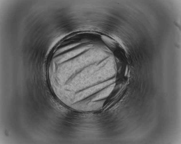 X0000090971120200708301219