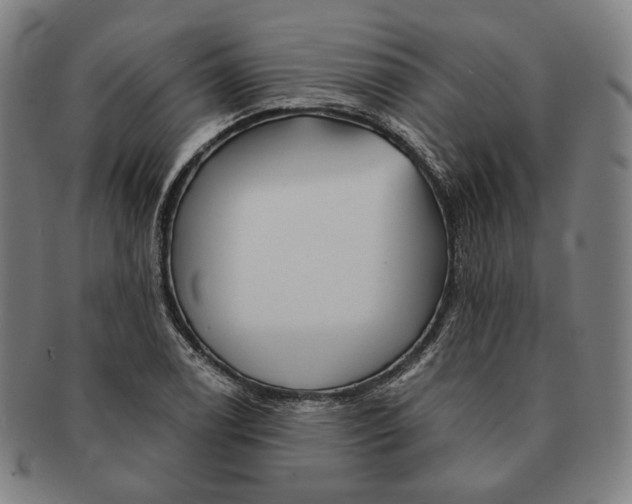 X0000090971122200708301219