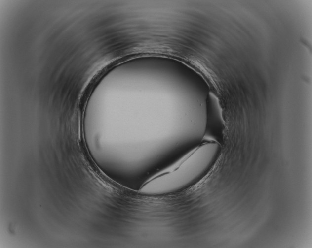 X0000090971123200708301220