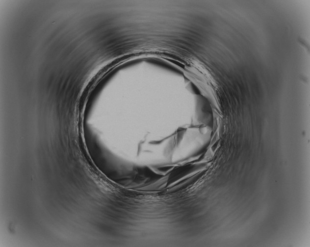 X0000090971124200708301220