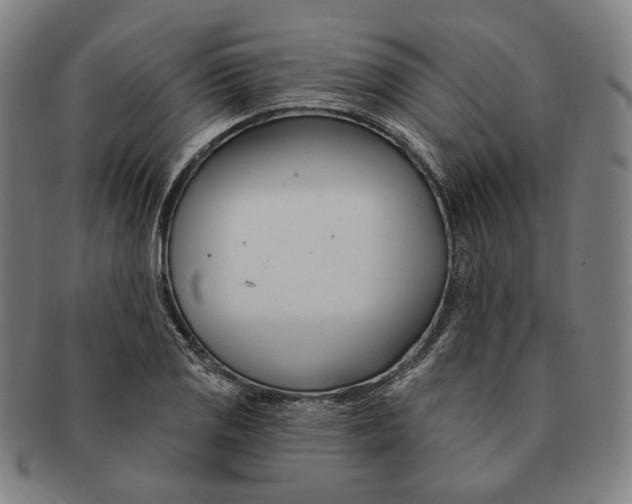 X0000090971125200708301220