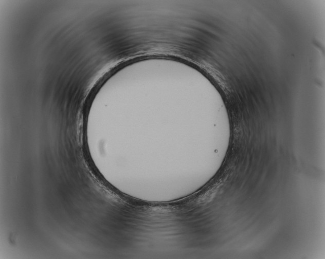 X0000090971126200708301220