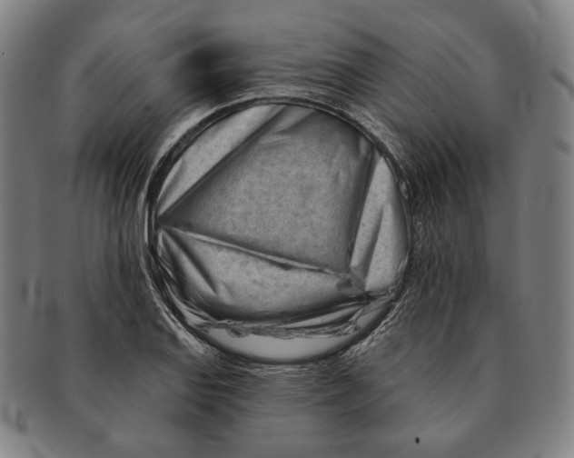 X0000090971127200708301220