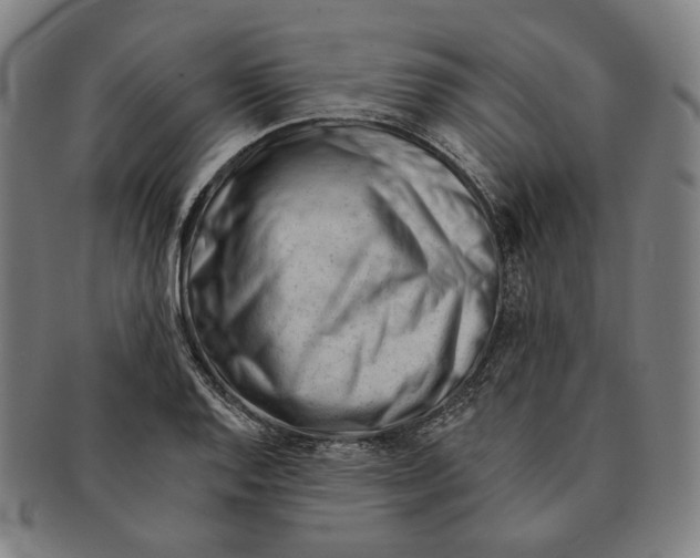 X0000090971128200708301220