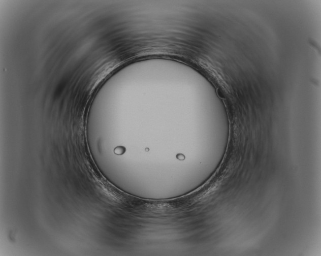 X0000090971129200708301220