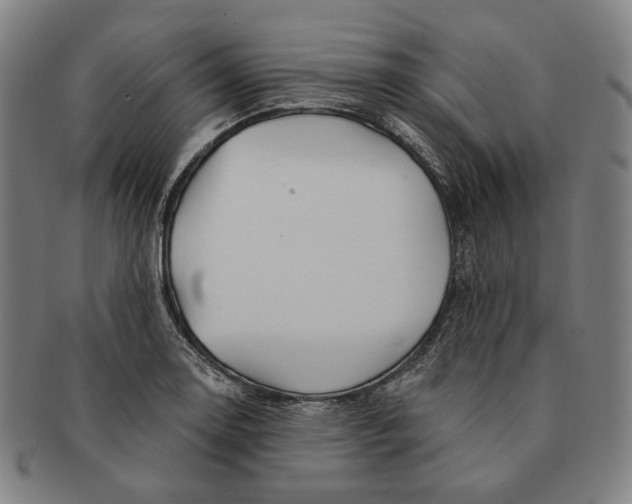 X0000090971130200708301220