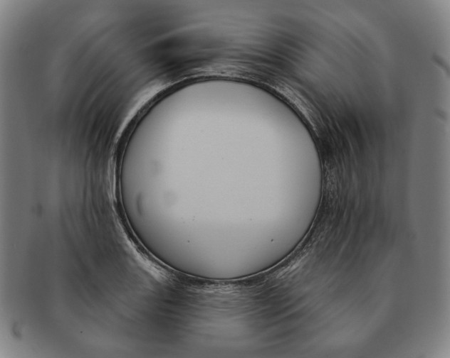 X0000090971131200708301220