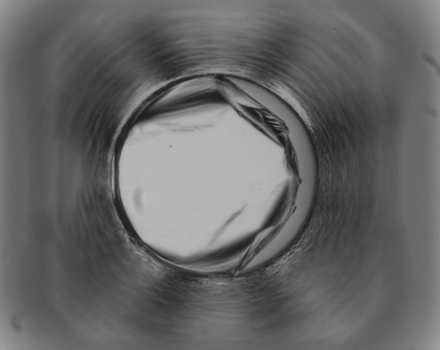 X0000090971132200708301220