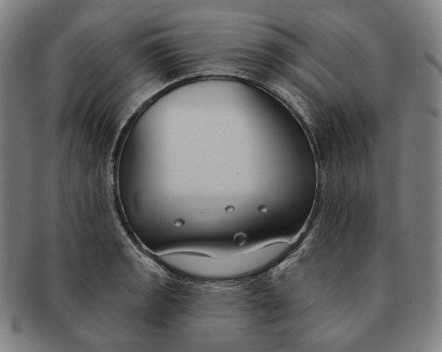 X0000090971133200708301220