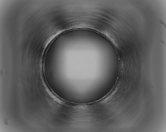 X0000090971134200708301220