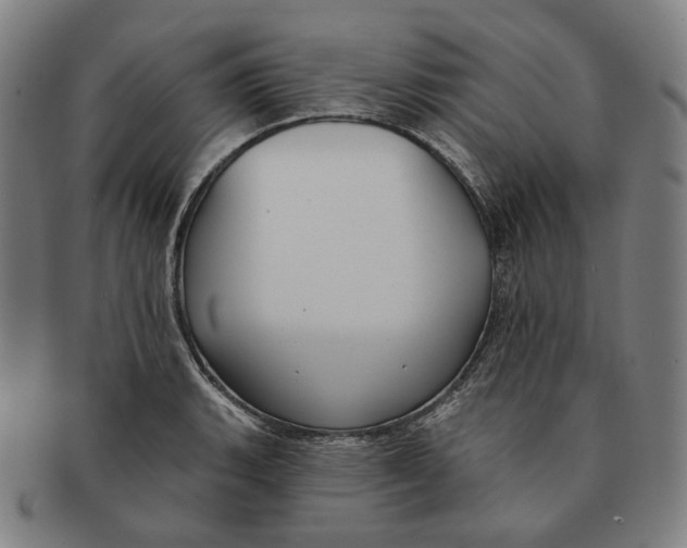 X0000090971135200708301220