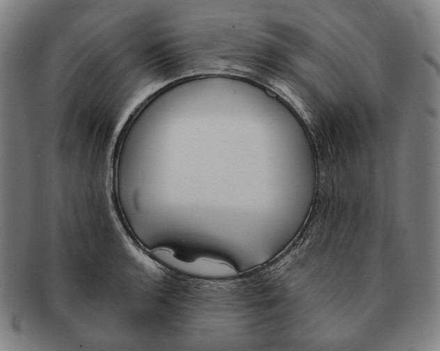 X0000090971136200708301220