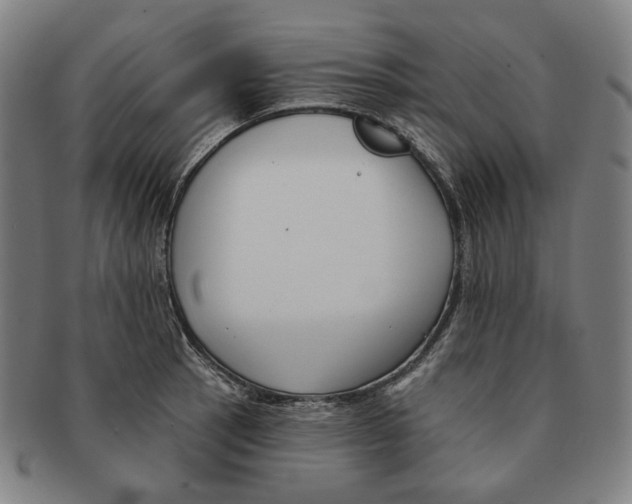 X0000090971137200708301220