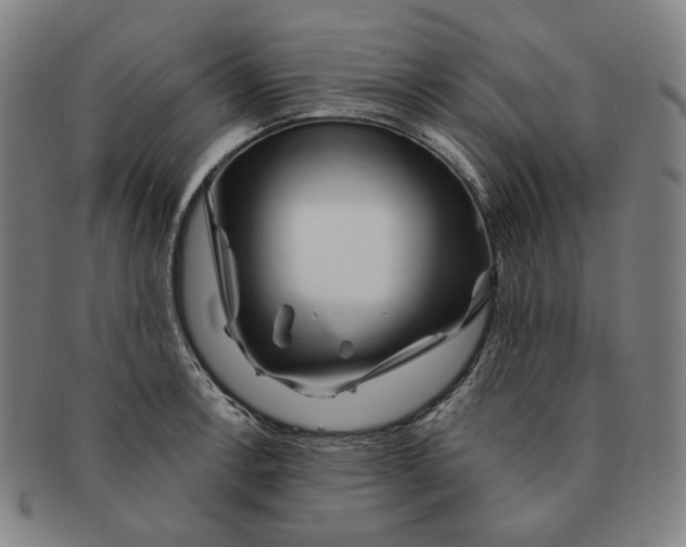 X0000090971138200708301220