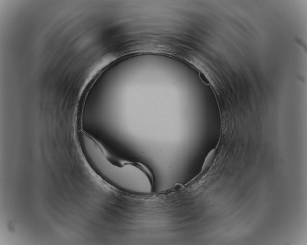 X0000090971139200708301220