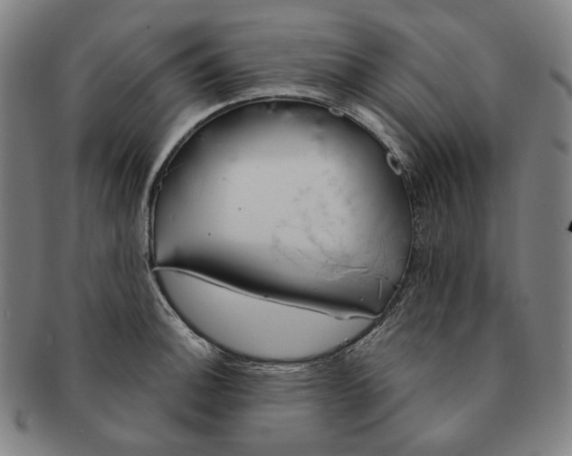 X0000090971140200708301220