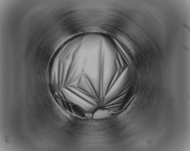 X0000090971141200708301220