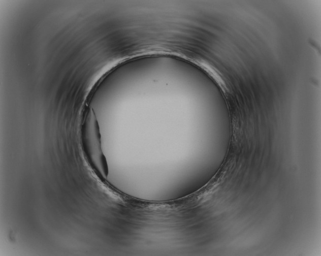 X0000090971142200708301220