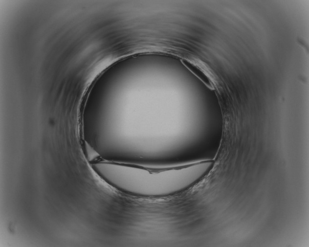 X0000090971143200708301220