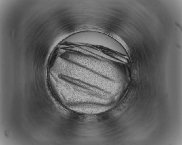 X0000090971144200708301220