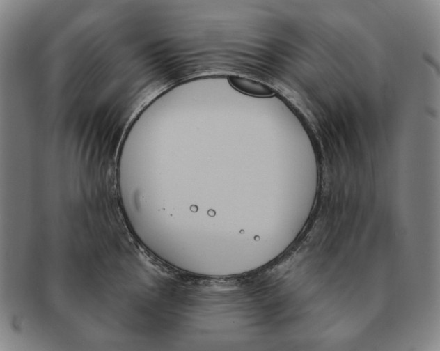 X0000090971145200708301220