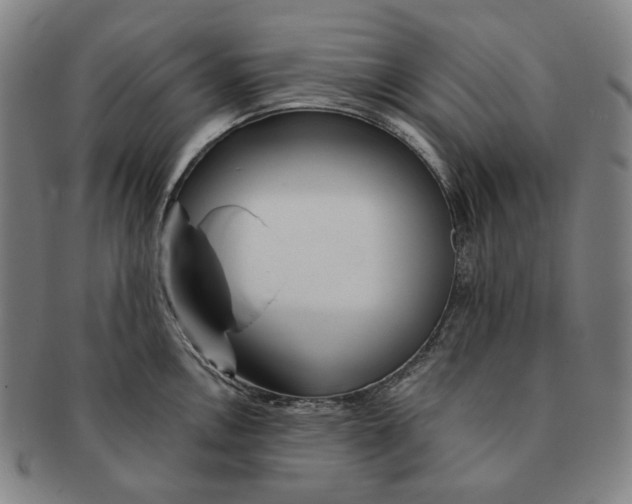 X0000090971146200708301220