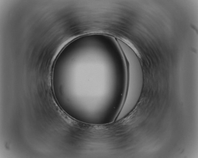 X0000090971148200708301220