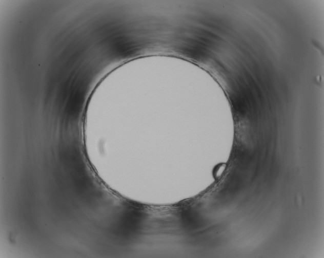 X0000090971150200708301220