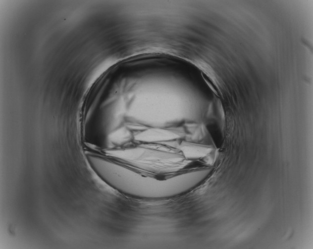 X0000090971151200708301220