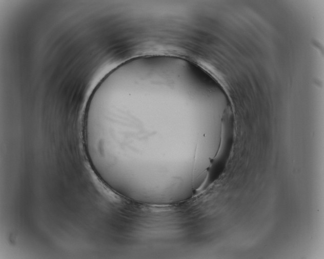 X0000090971152200708301220