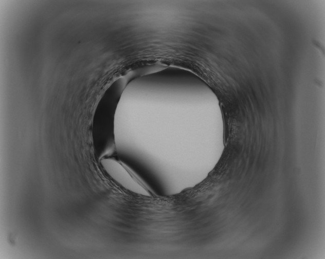 X0000090971153200708301219