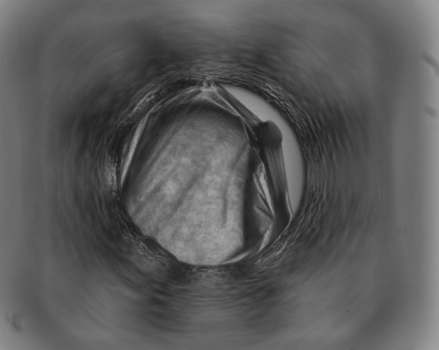 X0000090971155200708301219