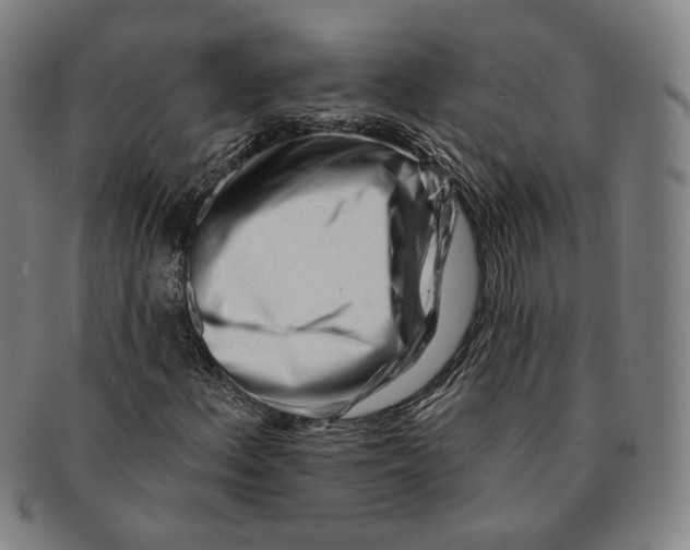 X0000090971156200708301219