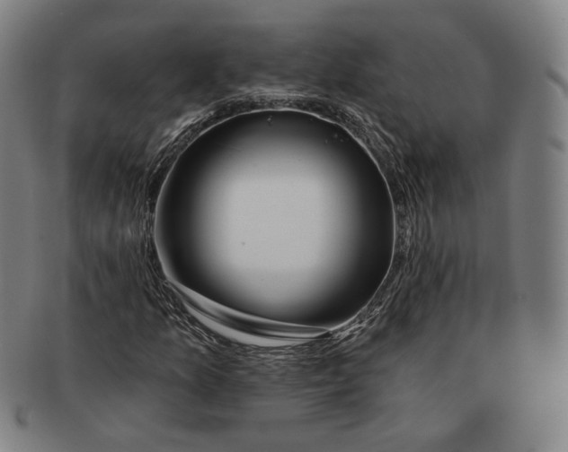 X0000090971157200708301219