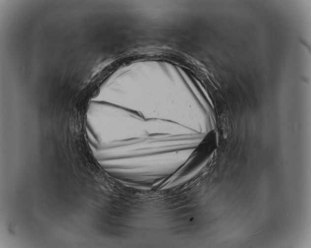 X0000090971158200708301219