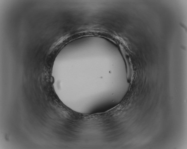 X0000090971159200708301219