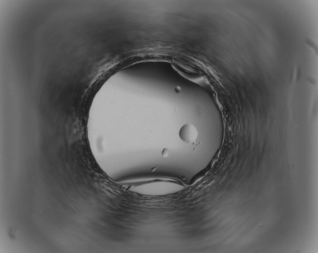 X0000090971160200708301219