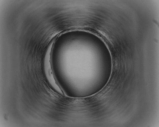 X0000090971161200708301219