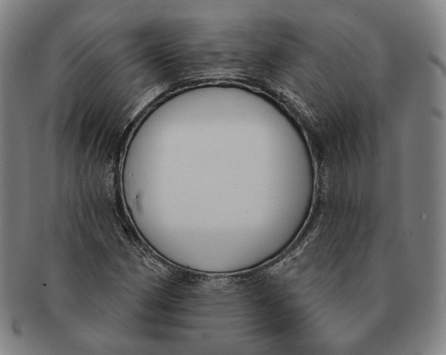 X0000090971162200708301219