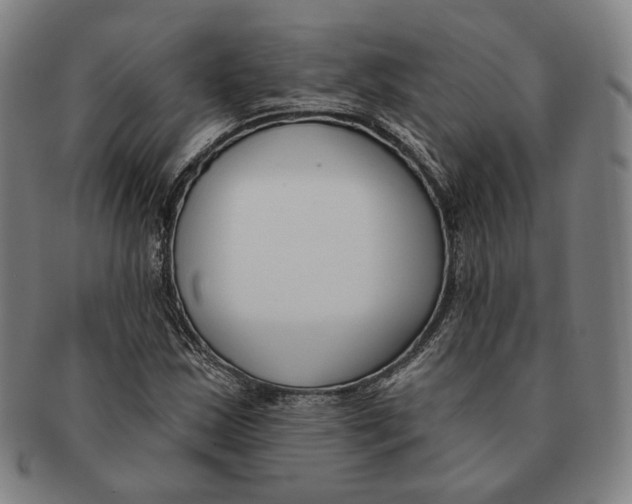 X0000090971163200708301219