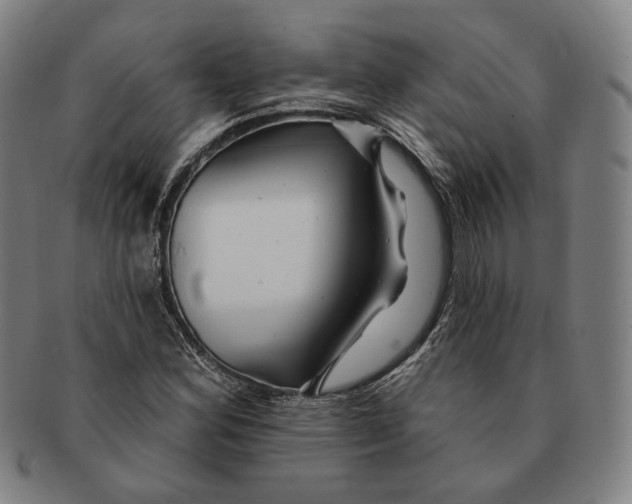 X0000090971164200708301219