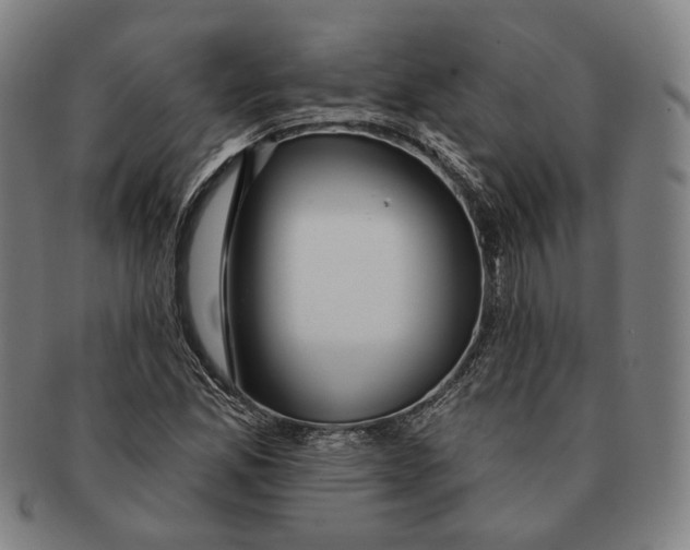 X0000090971165200708301219