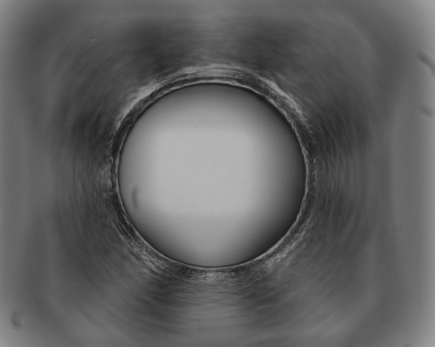 X0000090971166200708301219