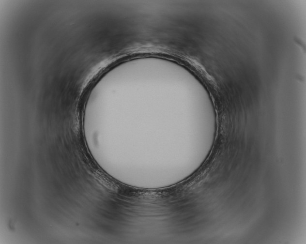 X0000090971167200708301219