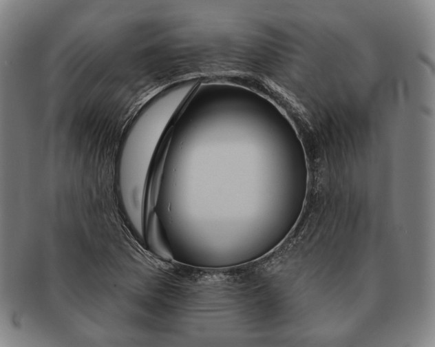 X0000090971169200708301219