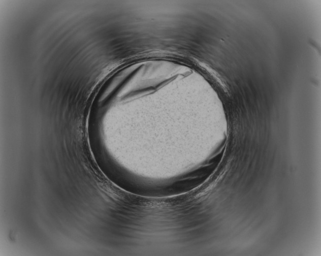 X0000090971170200708301219